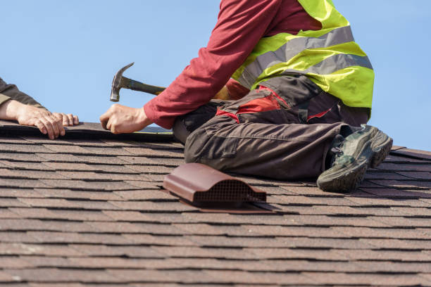 Best Roof Gutter Cleaning  in Hampstead, NC